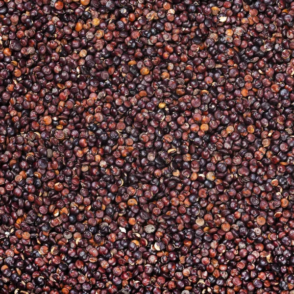 Rauwe Zwarte Quinoa Zaden Chenopodium Quinoa — Stockfoto