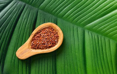 Organik kırmızı kinoa tohumları - Chenopodium kinoası