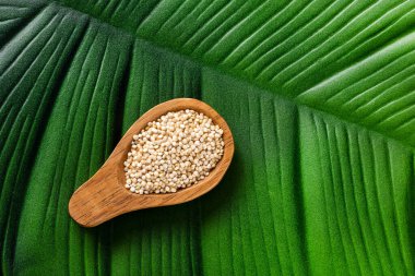 Kaşık içinde organik beyaz kinoa tohumları - Chenopodium kinoası