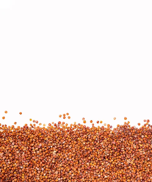 Sementes Quinoa Vermelha Orgânica Chenopodium Quinoa — Fotografia de Stock
