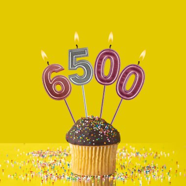 Mor mumlar 6500 sayısını oluşturuyor - İzleme, izleme ve takipçi sayısı.