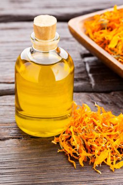 Calendula officinalis - Kırsal ahşap arka planda bir şişe doğal yağ ve kurutulmuş takvim çiçeği