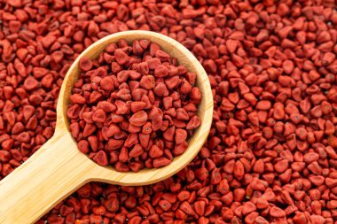 Bixa Orellana - Organik kırmızı notatto tohumları bir ölçü kaşığının üzerinde ve dibe saçılmış