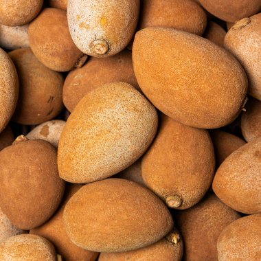 Ön planda taze mamey sapote (Pouteria sapota), pazar, tarım ve doğal gıda kavramları için ideal tropik meyveler birlikte sergilenmektedir..