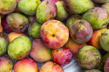 Kolombiya pazar meydanında taze mangolar. Dokularını ve doğal görünüşlerini sergiliyorlar..