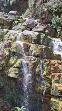 Cascada de los micos - Su taşıyan doğal şelale