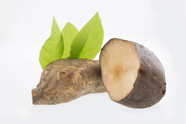 Beyaz arka plan üzerinde taze Yacon kökleri
