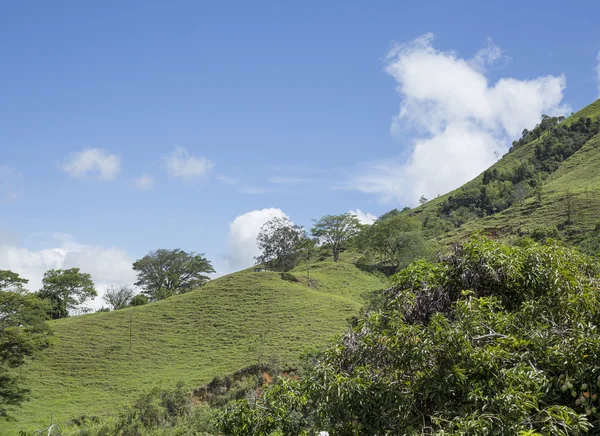 Kolumbianische schöne Hügellandschaft — Stockfoto