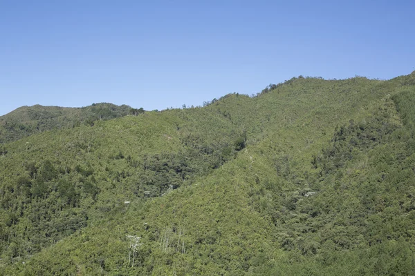 コロンビアの美しい丘陵の風景 — ストック写真