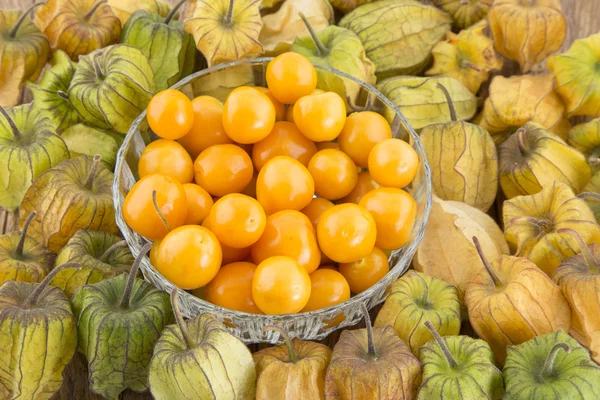 Uchuva 맛 있는 열 대 과일 — 스톡 사진