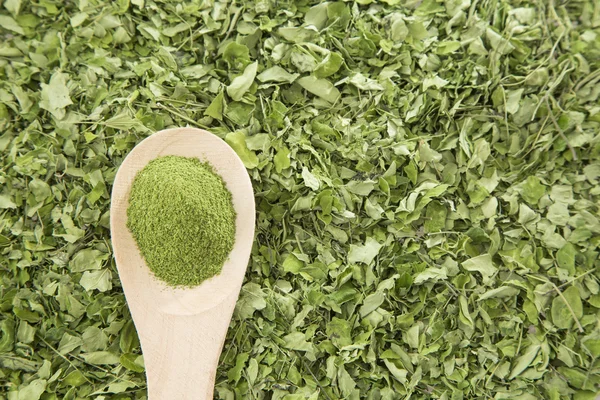 Moringa in polvere su cucchiaio di legno — Foto Stock