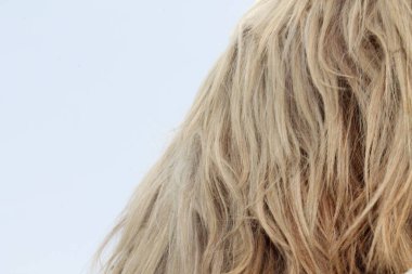 yeşil Beyaz Buğday Tarlaları 