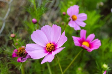 Güzel Lulusar Gölü Naran KKH