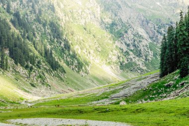 Kumrat Vadisi Caz Banda Güzel Peyzaj Dağları Manzarası
