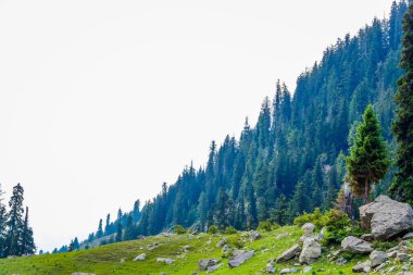 Kumrat Vadisi Güzel Manzara Dağları Manzarası
