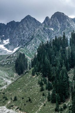 Kumrat Vadisi Güzel Caz Banda Manzarası Dağları Manzarası