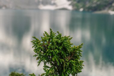 Katora Gölü Kumrat Vadisi Güzel Manzara Dağları Manzarası
