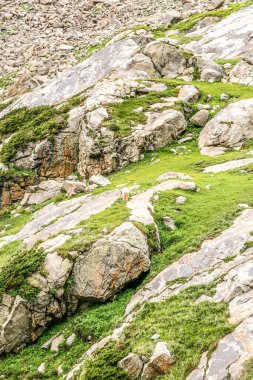 Kumrat Vadisi Güzel Manzara Dağları Manzarası