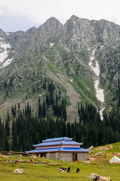 Kumrat Valley Jazz Banda Piękny Krajobraz Góry View — Zdjęcie stockowe