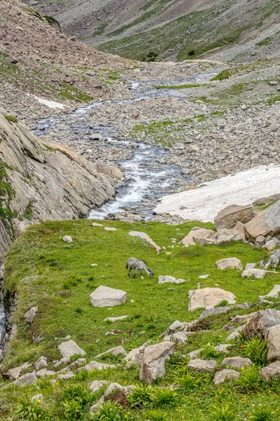 Kumrat Valley Krásná Krajina Hory Pohled — Stock fotografie