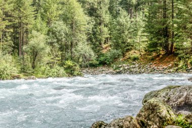Kumrat Vadisi Nehri Güzel Manzara Dağları Manzarası