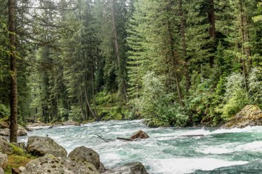 Kumrat Vadisi Nehri Güzel Manzara Dağları Manzarası