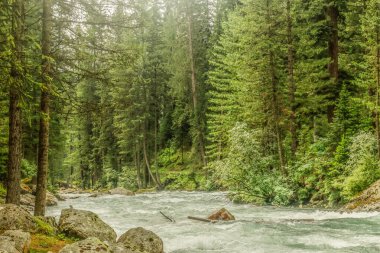 Kumrat Vadisi Nehri Güzel Manzara Dağları Manzarası