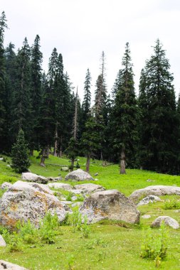 Kumrat Vadisi Güzel Manzara Dağları Manzarası