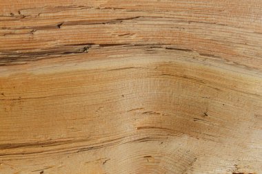 Malam Jabba ve Kalam Swat Manzarası