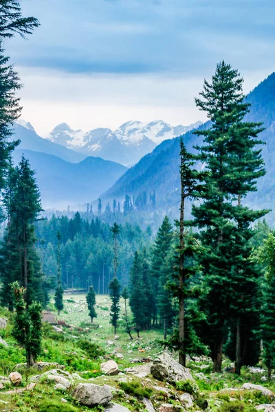 Kumrat Valley Vakre Landskap Fjell Utsikt – stockfoto