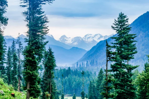 Kumrat Valley Gyönyörű Táj Hegyek Kilátás — Stock Fotó