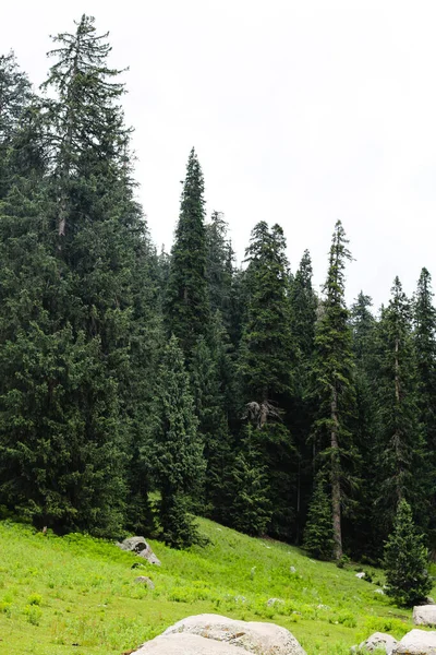 Valle Kumrat Hermoso Paisaje Montañas Vista —  Fotos de Stock