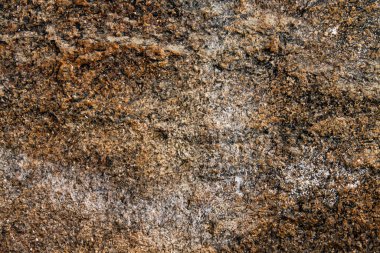 Soyut Grunge Beton Duvar Dokusu Arkaplanı