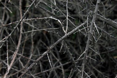 Soyut Grunge Beton Duvar Dokusu Arkaplanı