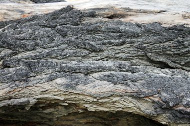 Soyut Grunge Beton Duvar Dokusu Arkaplanı