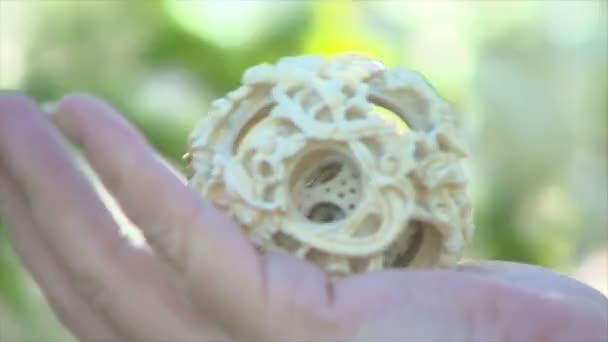 météo, saison, symbole, signe, écologie, nature 