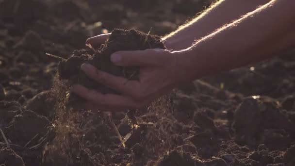 Vruchtbare aarde van boer zal spoedig dragen — Stockvideo