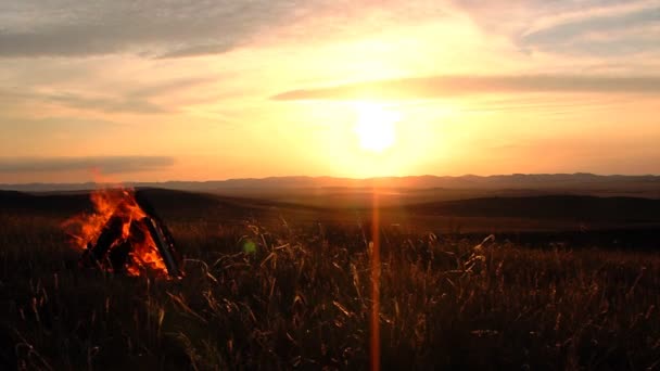 Tradición Verano Naturaleza Abstracto Maravillosamente Historia Ataque — Vídeo de stock