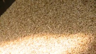 Pasta şefi pastayı bir tüp tatlı kremayla süslüyor.