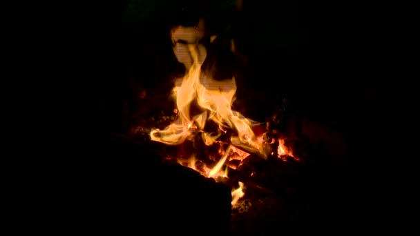 forgeron, forge, marteau, enclume, fleur, chaleur 