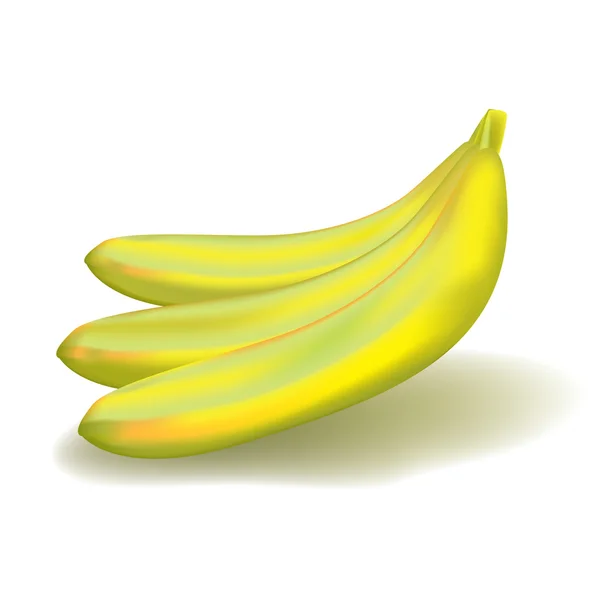 Propojení zralých banánů — Stockový vektor