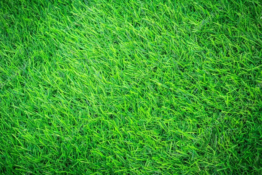 ビネットでゴルフコース背景やサッカー場の人工の緑の草テクスチャの上から見る ストック写真 C Phanthit