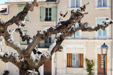 Yaz Provence manzara