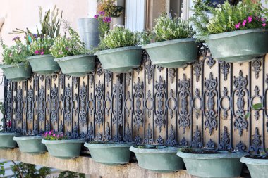 Yaz Provence manzara