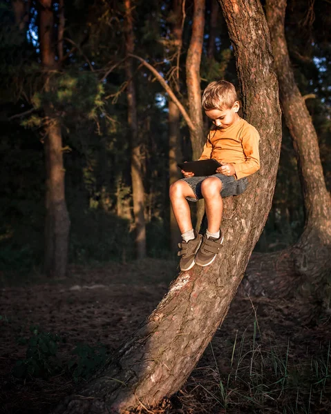 Niño Sentado Solo Árbol Bosque Uso Dispositivos Digitales Portátil Tableta — Foto de Stock