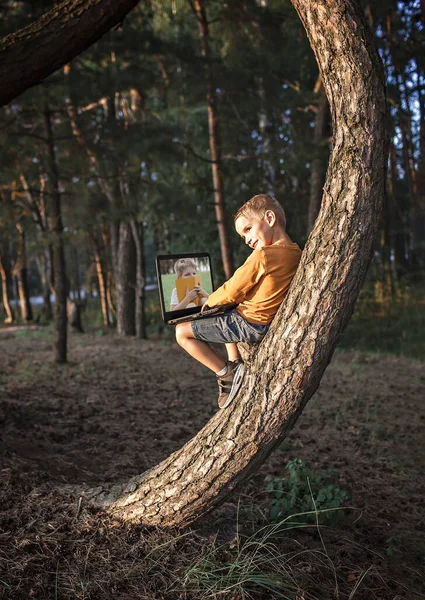 Menino Sentado Sozinho Árvore Floresta Usando Dispositivo Digital Laptop Tablet — Fotografia de Stock