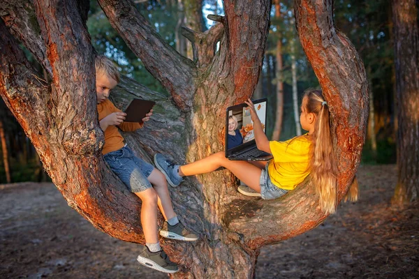Dois Irmãos Sentados Árvore Floresta Usando Dispositivos Digitais Para Estudar — Fotografia de Stock