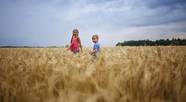 Happy Kids Running Yellow Wheat Field Blue Sky Background Live — Stock Photo, Image