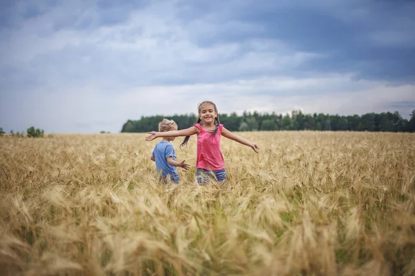 Boldog Gyerekek Futó Sárga Búza Mező Felett Kék Háttér Élni — Stock Fotó