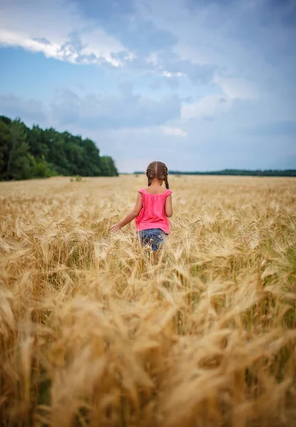 Счастливая Девушка Бежит Желтому Пшеничному Полю Фоне Голубого Неба Жить — стоковое фото